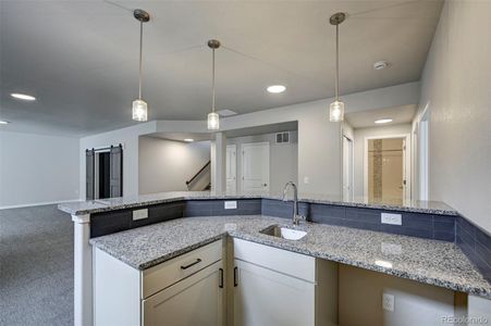 New construction Single-Family house 366 Hardstone Dr, Monument, CO 80132 - image 8