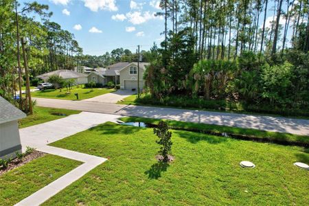 New construction Single-Family house 27 Poindexter Ln, Palm Coast, FL 32164 null- photo 71 71