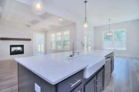 New construction Single-Family house 1264 Sage Pine Cir, Clover, SC 29710 plan Davidson - image 8