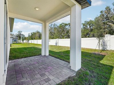 New construction Single-Family house 4709 Jasmine Cir, Leesburg, FL 34748 Daphne- photo 19 19