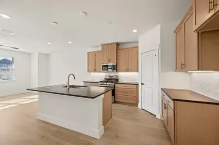 New construction Single-Family house 2516 Red Tailed Hawk, McKinney, TX 75071 plan Camille II Old World - image 8