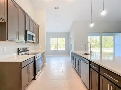 New construction Single-Family house 16 Egan Dr, Palm Coast, FL 32164 - image 5