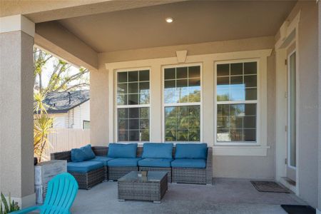 New construction Single-Family house 4111 4Th Ave N, St. Petersburg, FL 33713 - image 3