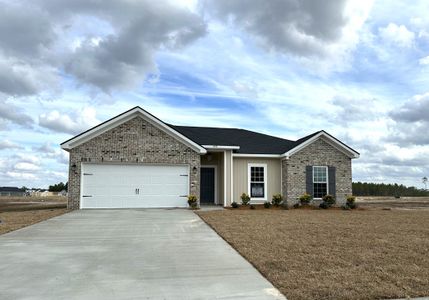 New construction Single-Family house 555 Doctor's Creek Rd, Unit 279, Ludowici, GA 31316 plan The Stafford - image