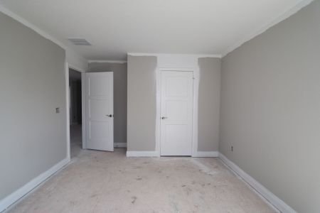 New construction Single-Family house 20264 Oriana Loop, Land O' Lakes, FL 34638 Santa Monica- photo 121 121