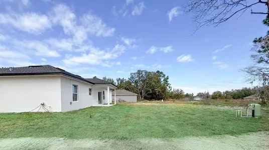 New construction Single-Family house 225 Malauka Run N, Ocklawaha, FL 32179 - image