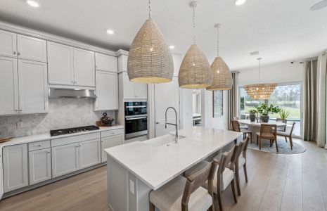 New construction Single-Family house 14807 Sunset Crest Ln, Parrish, FL 34219 plan Mystique - image