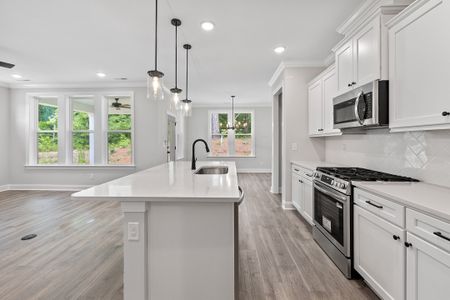 New construction Single-Family house 9101 Dupree Meadow Dr, Angier, NC 27501 plan The Ellery - image 10