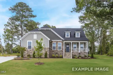 New construction Single-Family house 1384 Main St, Lillington, NC 27546 - image
