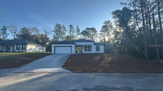 New construction Single-Family house 11317 N Bunny Ter, Citrus Springs, FL 34434 - image