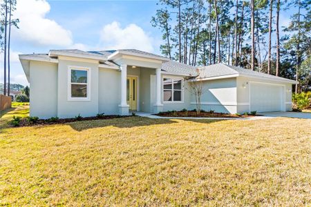 New construction Single-Family house 14 Burning View Ln, Palm Coast, FL 32137 null- photo 0