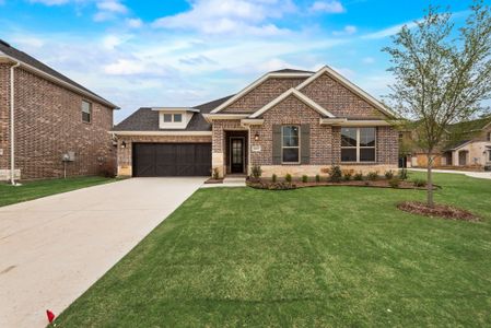 New construction Single-Family house 14025 Alfafar Ct, Little Elm, TX 75068 Seville- photo 3 3