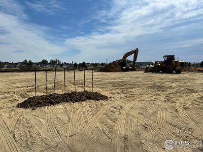 New construction Single-Family house 1708 Morningstar Way Ft, Fort Collins, CO 80524 - image 19