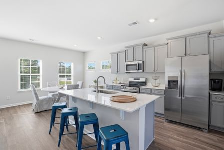 New construction Single-Family house 125 Simms Wy (19), Flemington, GA 31313 plan Aspen 3 Interior - image 7
