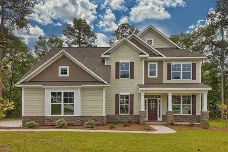 New construction Single-Family house 2371 Old Us Hwy 421, Lillington, NC 27546 - image