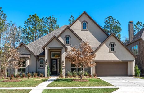 Artavia 70′ by Ravenna Homes in Conroe - photo 1 1