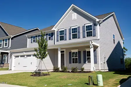 New construction Single-Family house 545 Freedom Trail Dr, Willow Spring, NC 27592 - image