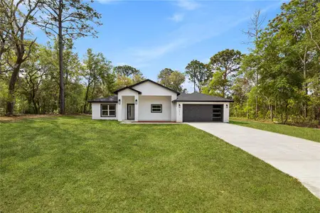 New construction Single-Family house 2812 W Gaspar Dr, Dunnellon, FL 34433 - image