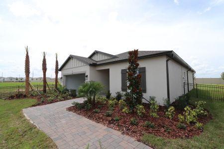 New construction Single-Family house 11843 Hilltop Farms Dr, Dade City, FL 33525 Sentinel- photo 5 5