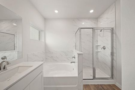 New construction Single-Family house 23606 Zinfandel Dr, Alvin, TX 77511 plan Savannah - image 5