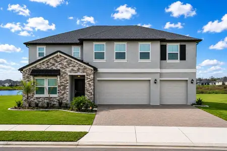 New construction Single-Family house 12558 Colonnade Vista Dr, Riverview, FL 33579 plan Whitney - image