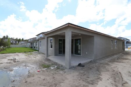 New construction Single-Family house 33227 Amling Pecan Br, Wesley Chapel, FL 33545 Newport II- photo 32 32