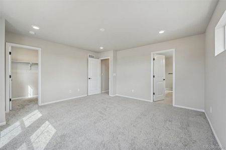 New construction Single-Family house 8779 Whiteclover St, Littleton, CO 80125 plan Plan 5 - image 19