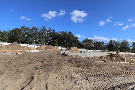 New construction Single-Family house 3318 Wolf Lake Ave, Apopka, FL 32712 plan Glenwood - image