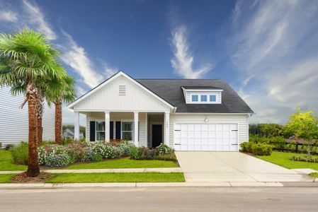 New construction Single-Family house 1002 Lettered Olive Ln, Summerville, SC 29485 plan LITCHFIELD II - image