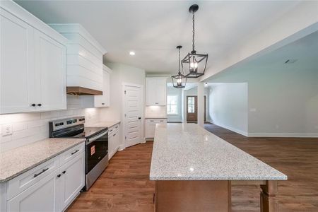 New construction Single-Family house 159 Lexie Ct, Rockmart, GA 30153 - image