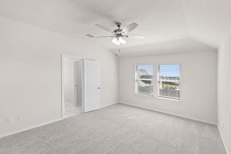 New construction Single-Family house 1620 Macadamia Ct, Aubrey, TX 76227 plan Mulberry - image 13