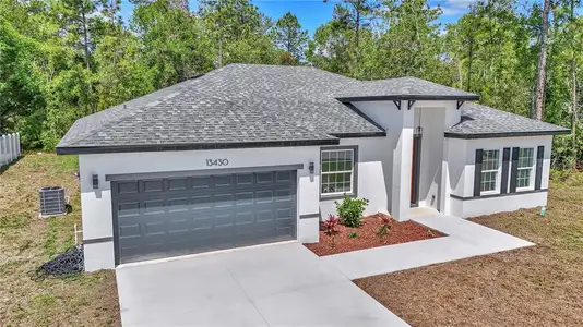 New construction Single-Family house 13430 Sw 88Th Ter, Ocala, FL 34473 - image