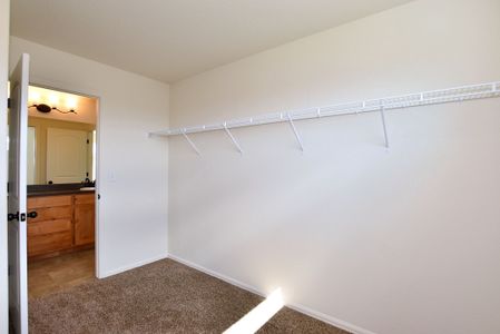 New construction Single-Family house 6611 West 5th Street, Greeley, CO 80634 - photo 29 29