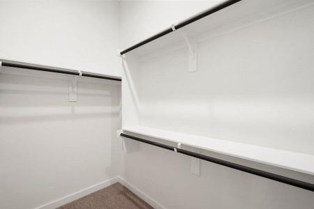 New construction Single-Family house 2205 Cento Walk, Round Rock, TX 78664 - image 16