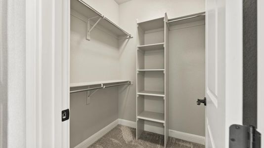 New construction Townhouse house 6248 Vernazza Wy, Windsor, CO 80550 plan Belmar - image 13