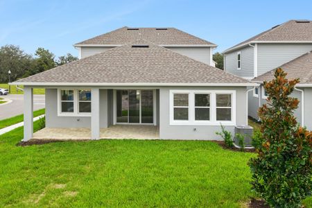 New construction Single-Family house 17434 Honeybell Tangelo Ct, Winter Garden, FL 34787 plan Eliot - image 3