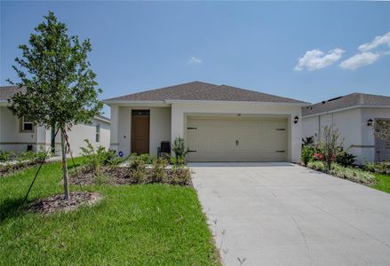 New construction Single-Family house Umatilla, FL 32784 - image