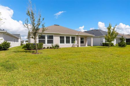 New construction Single-Family house 31496 Westbury Estates Ave, Wesley Chapel, FL 33545 - image