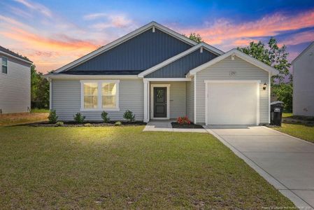 New construction Single-Family house 250 Melbourne Dr, Raeford, NC 28376 - image