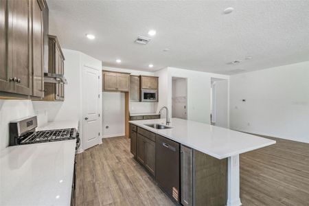 New construction Single-Family house 19679 Fort King Run, Brooksville, FL 34601 - image 5