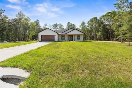 New construction Single-Family house 13186 Sw 52Nd Lane Rd, Ocala, FL 34481 - image