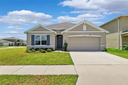 New construction Single-Family house 34211 Jasper Stone Dr, Wesley Chapel, FL 33543 - image