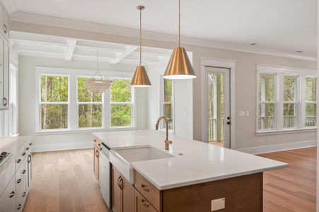 New construction Single-Family house 2508 Annie Aiden Ln, Charleston, SC 29414 plan Davis - image 5