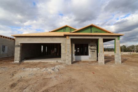 New construction Single-Family house 38413 Tobiano Loop, Dade City, FL 33525 Picasso- photo 17 17