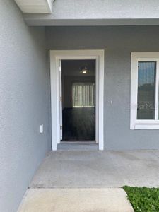 New construction Single-Family house 40 Maple Ln, Ocklawaha, FL 32179 - image