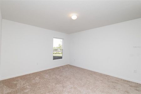 New construction Single-Family house 213 Harper Estates Cir, Lake Wales, FL 33859 - image 15