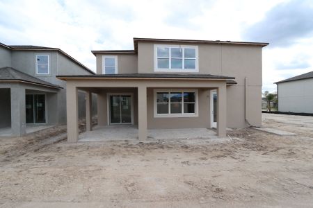 New construction Single-Family house 4845 Foxglove Cir, Lakeland, FL 33811 Mira Lago- photo 59 59