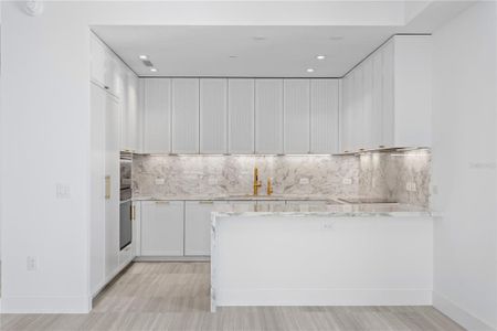 New construction Condo house 3015 S Ysabella Ave, Unit 2301, Tampa, FL 33629 - image 9