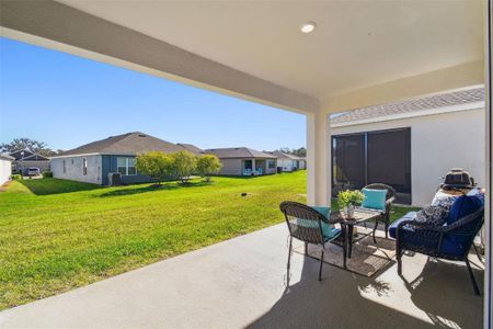 New construction Single-Family house 19632 Fort King Run, Brooksville, FL 34601 Elmwood- photo 50 50