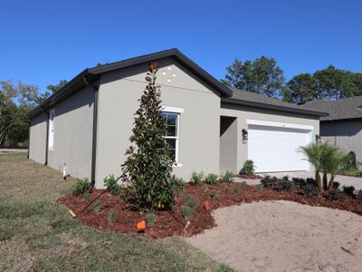 New construction Single-Family house 174 Northbank Ln, Spring Hill, FL 34609 plan Monet - image